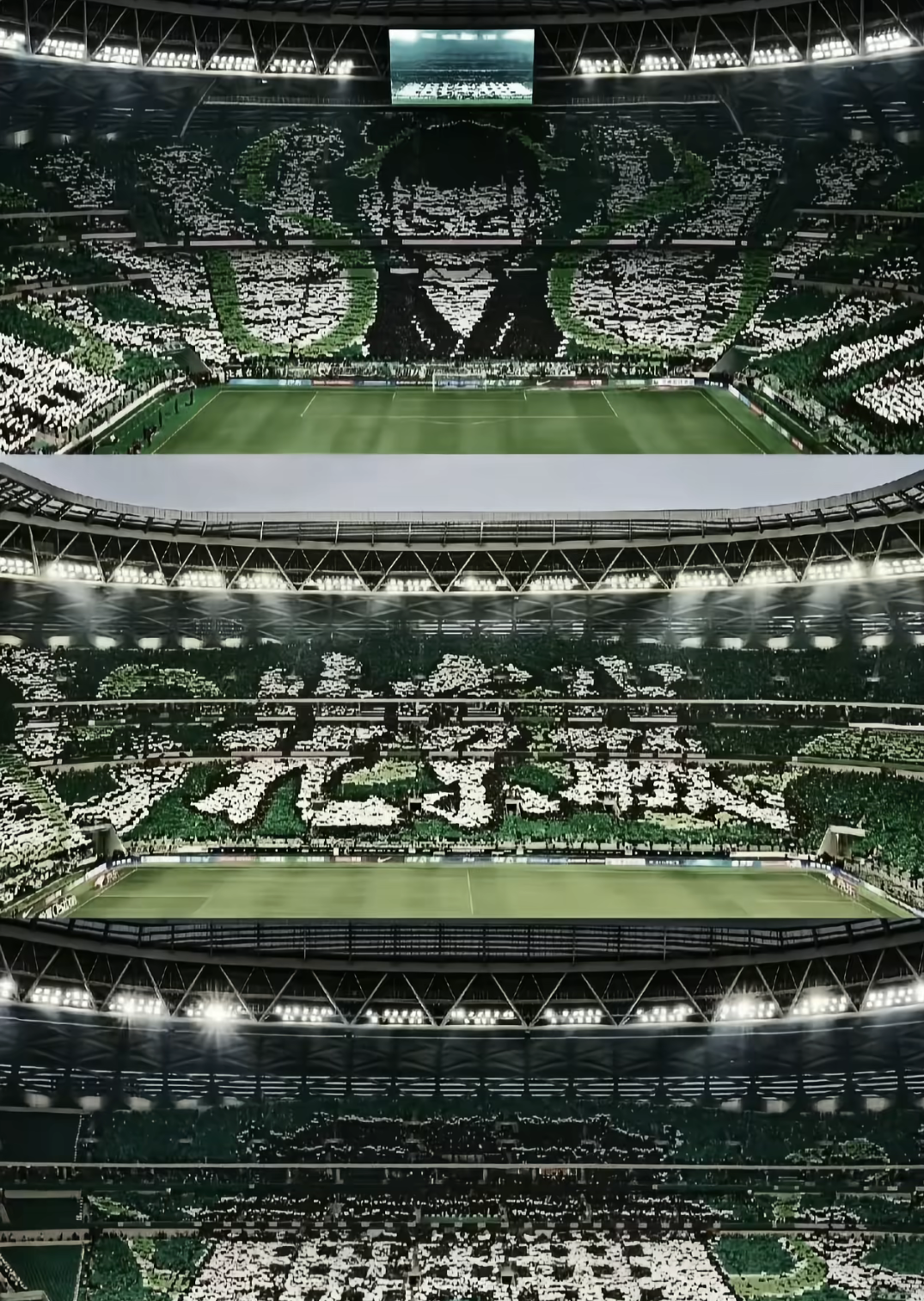 国王杯赛程吃紧，北京国安冲刺阶段调整名单，球迷炸锅，球探报告显示潜力的简单介绍